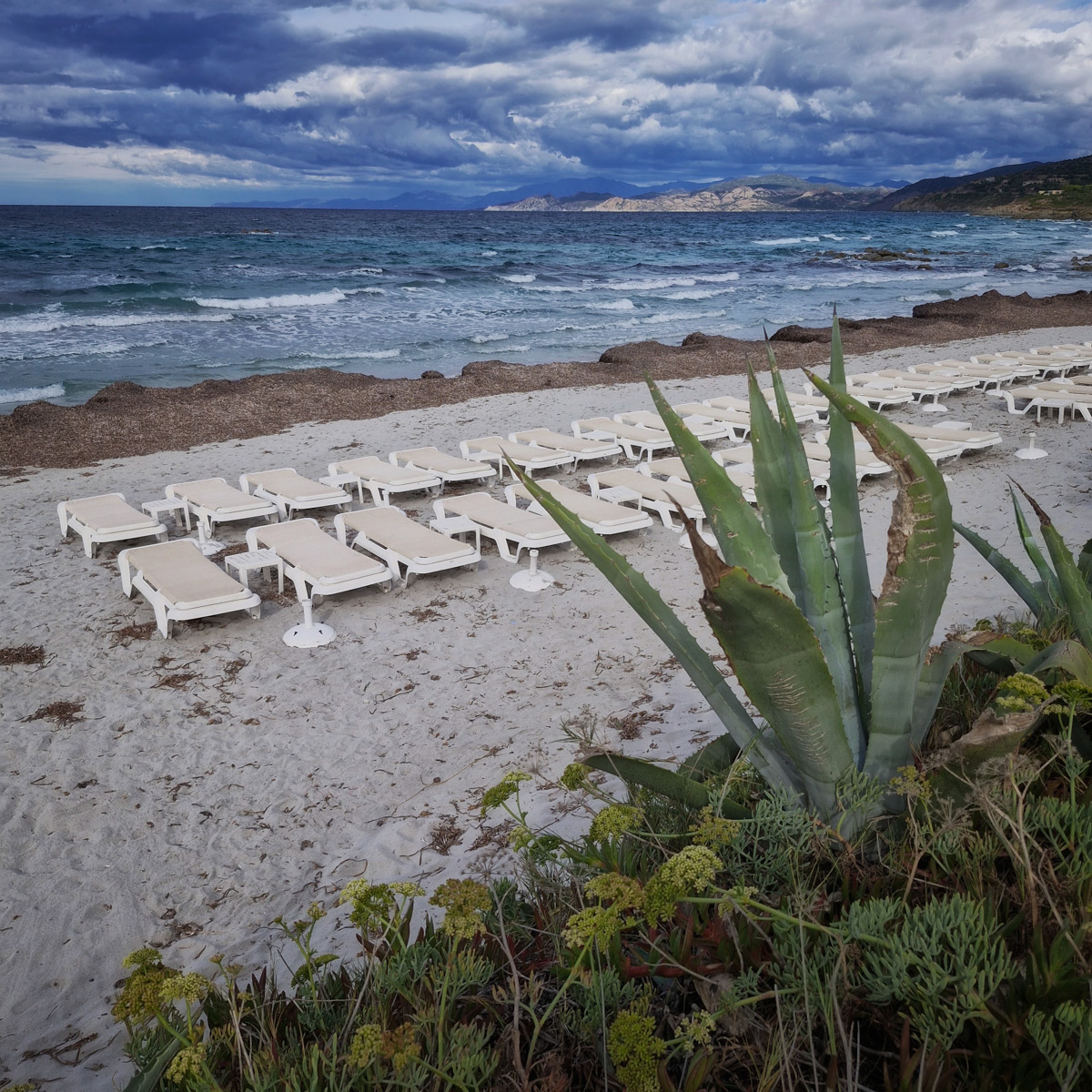 Balagne_saison2BT-58