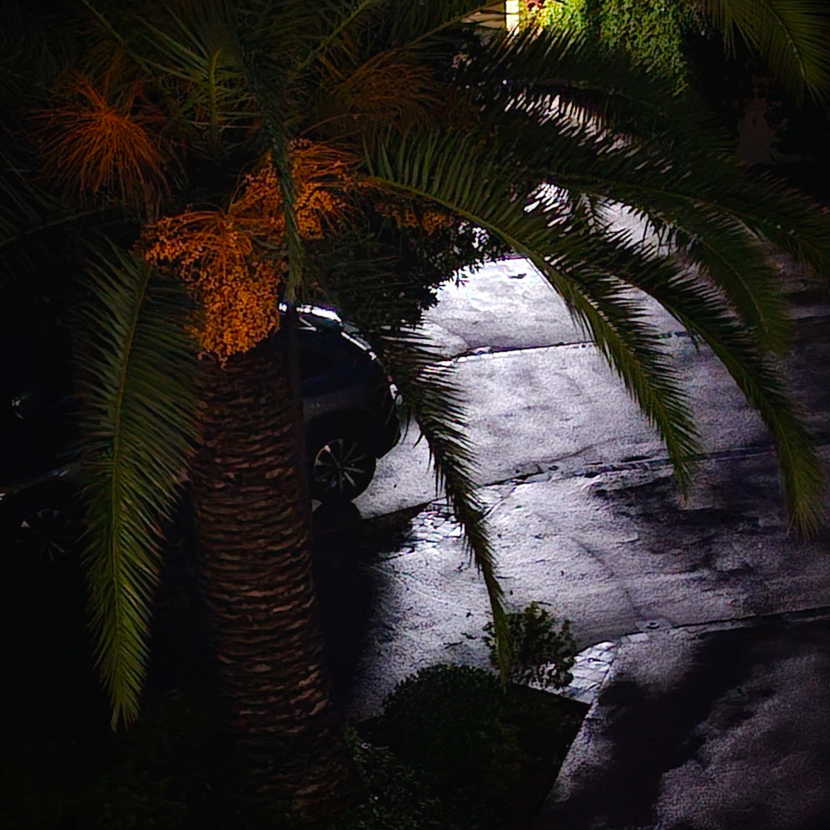 Balagne_saison2BT-70