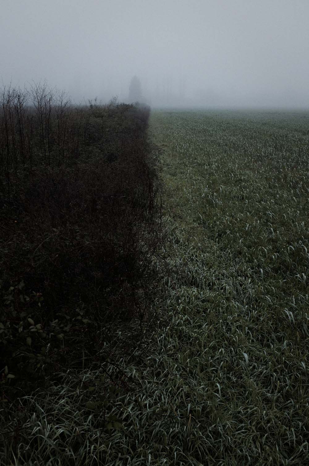 danslaplaine - 104