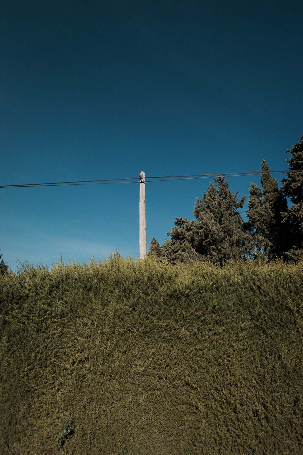 danslaplaine - 30