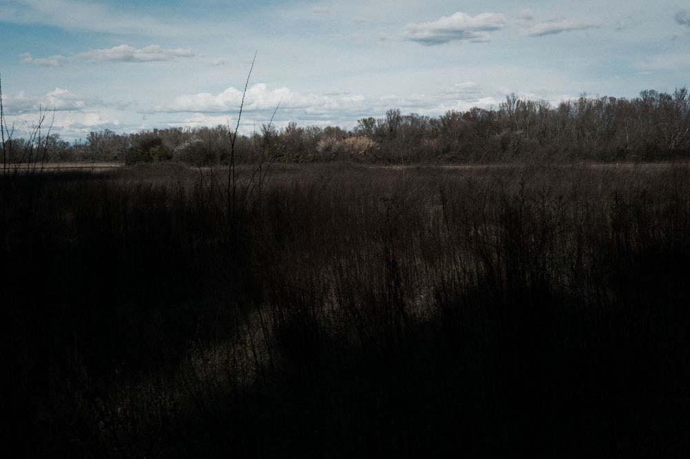 danslaplaine - 32