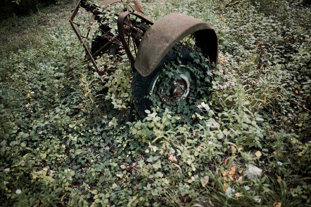 danslaplaine - 50