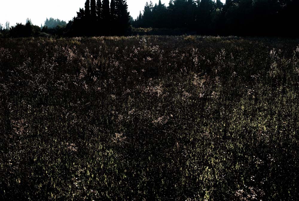 danslaplaine - 77
