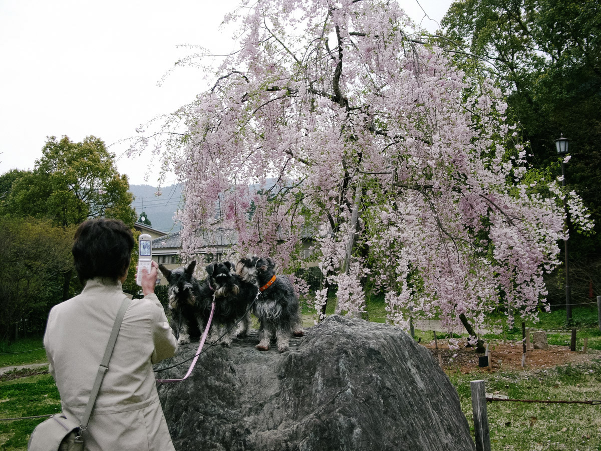 JapanstreetsBT-3