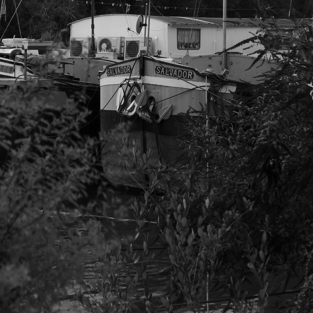 conflans19