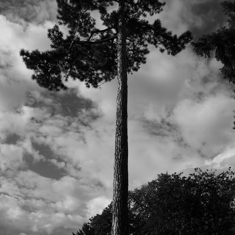 conflans27