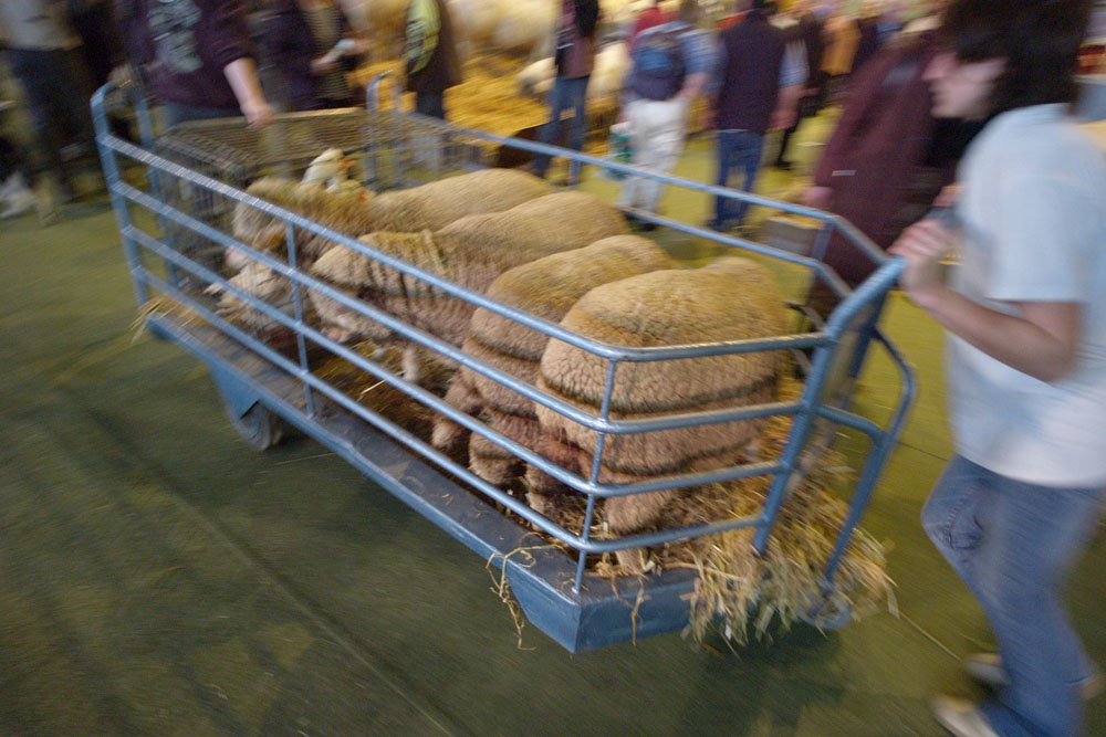 salon agriculture - 098
