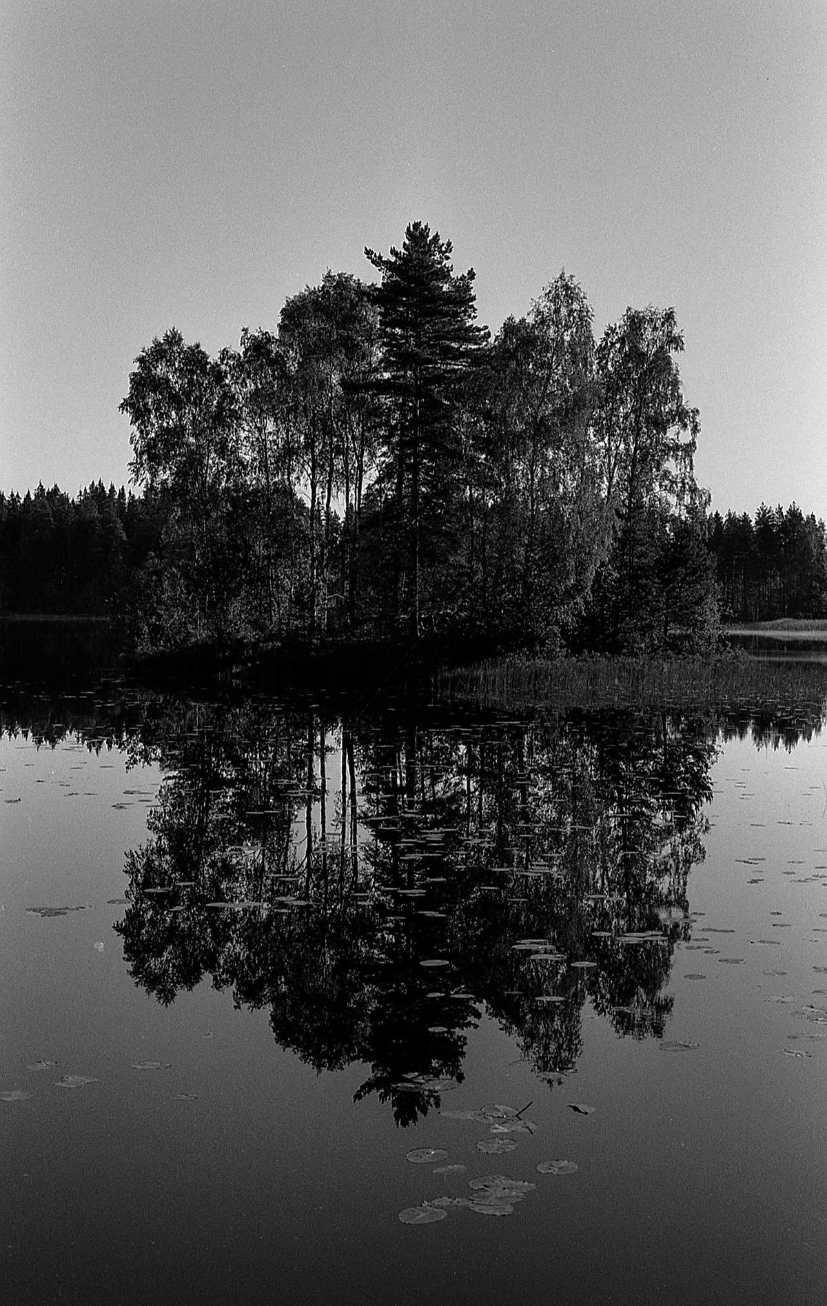 scandinavieBT - 36