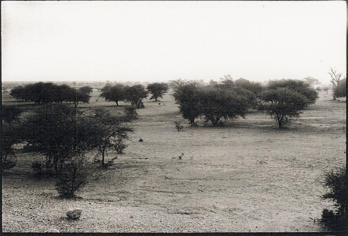 bonjourleblanc - 05