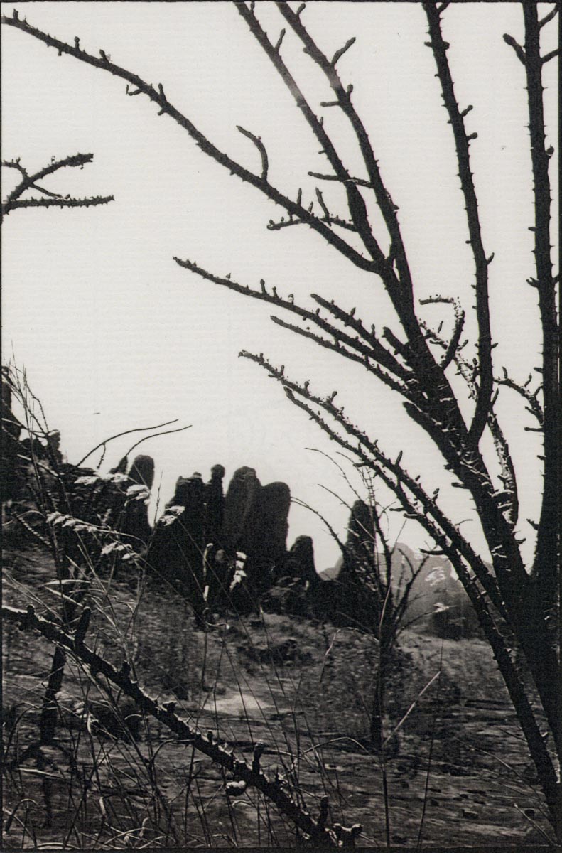 bonjourleblanc - 22