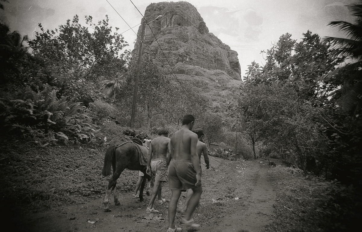 Stacks Image 957