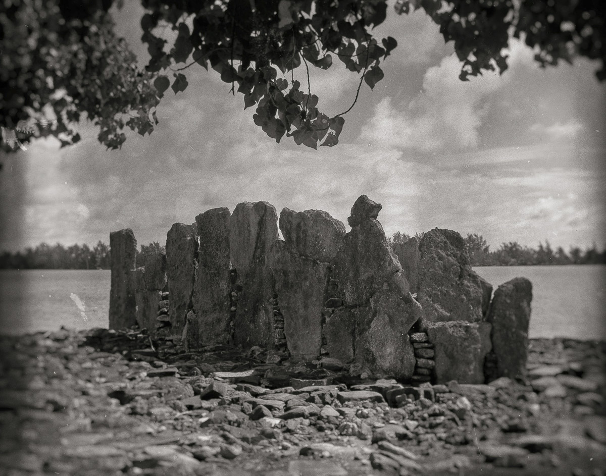 Stacks Image 948