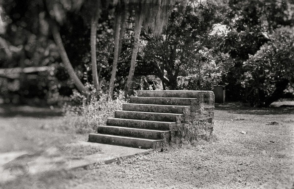Stacks Image 975