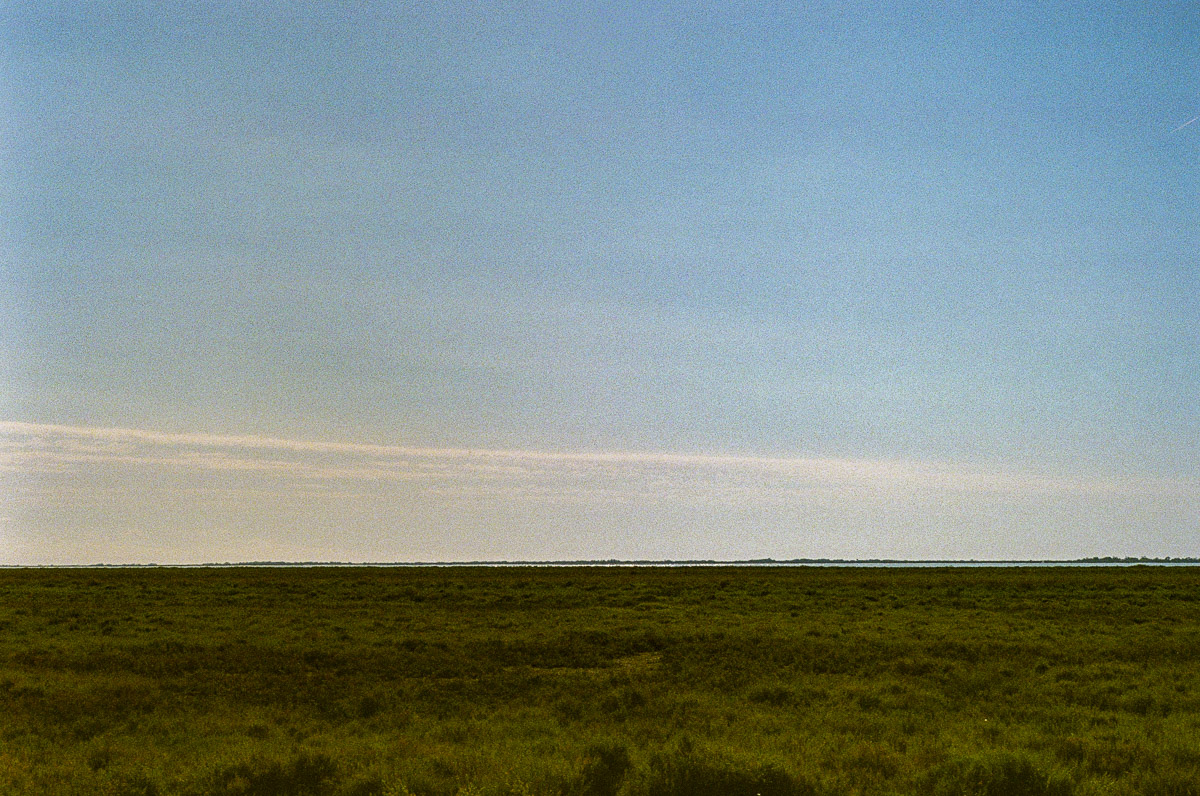 Stacks Image 900