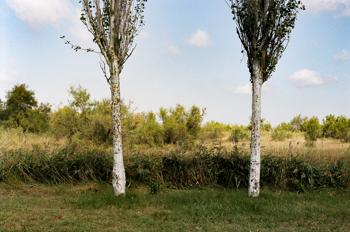 Stacks Image 933