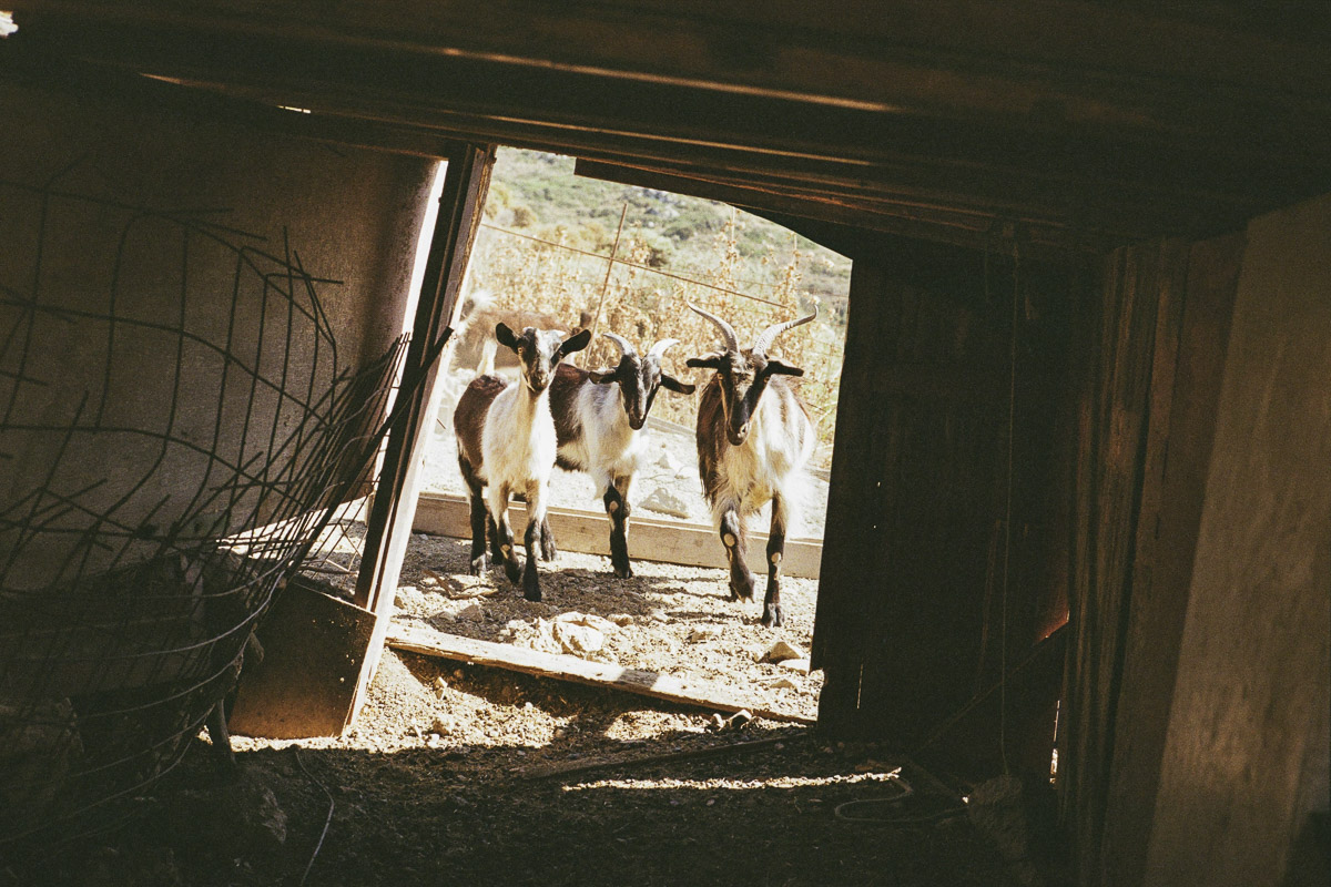 Stacks Image 1074
