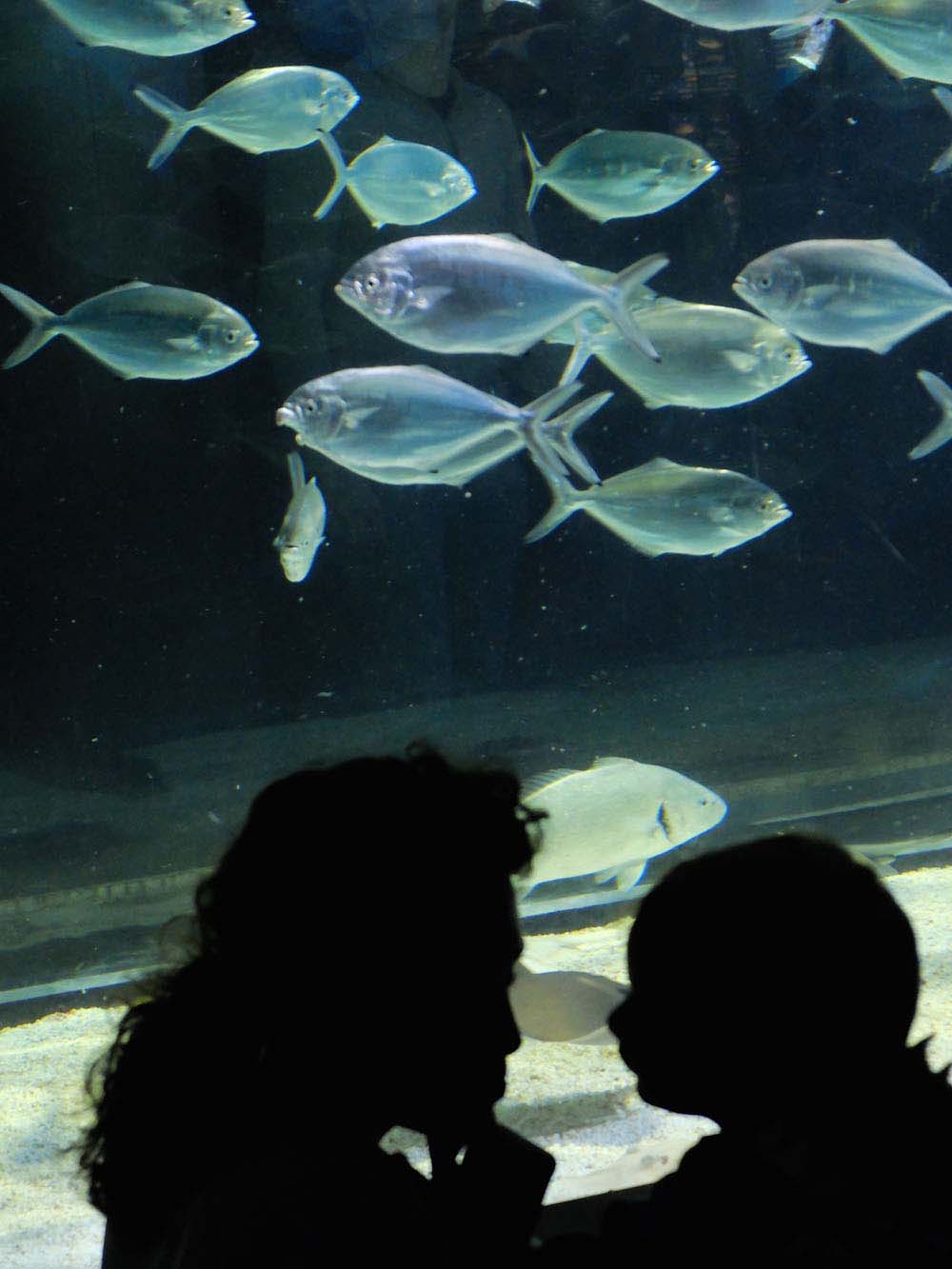 Barcelonaluz - 048