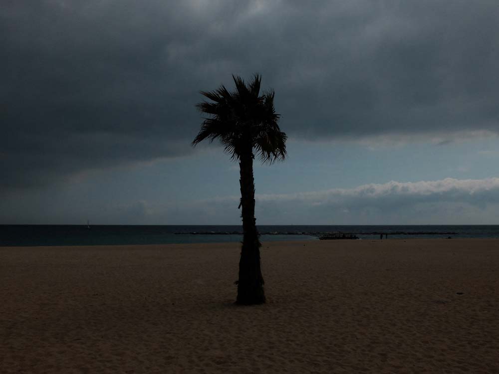 Barcelonaluz - 105