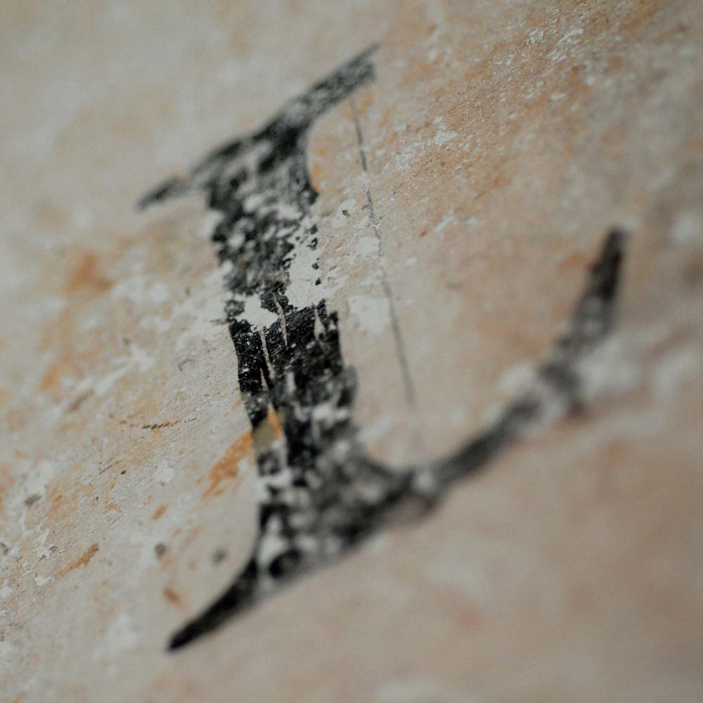 microchartreuse - 12