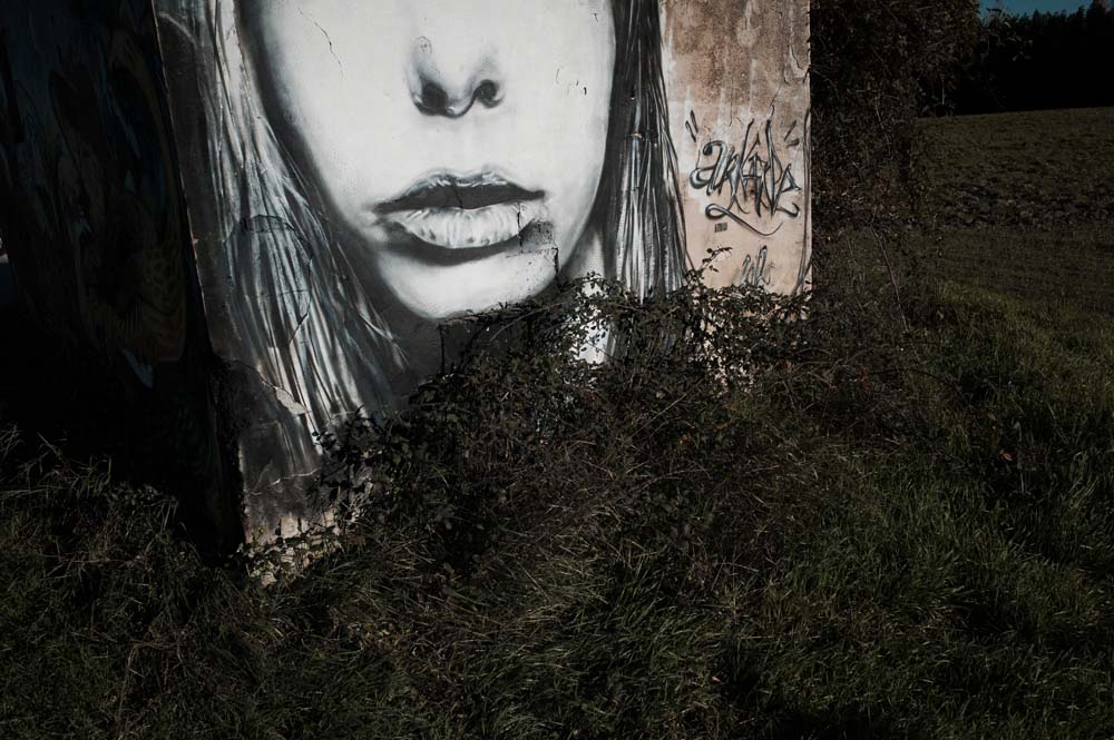 danslaplaine - 108