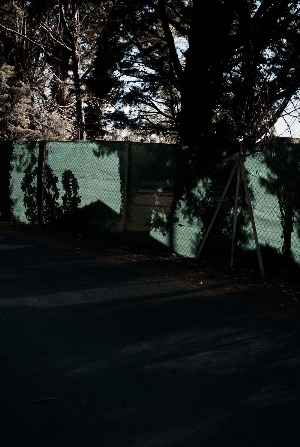 danslaplaine - 42
