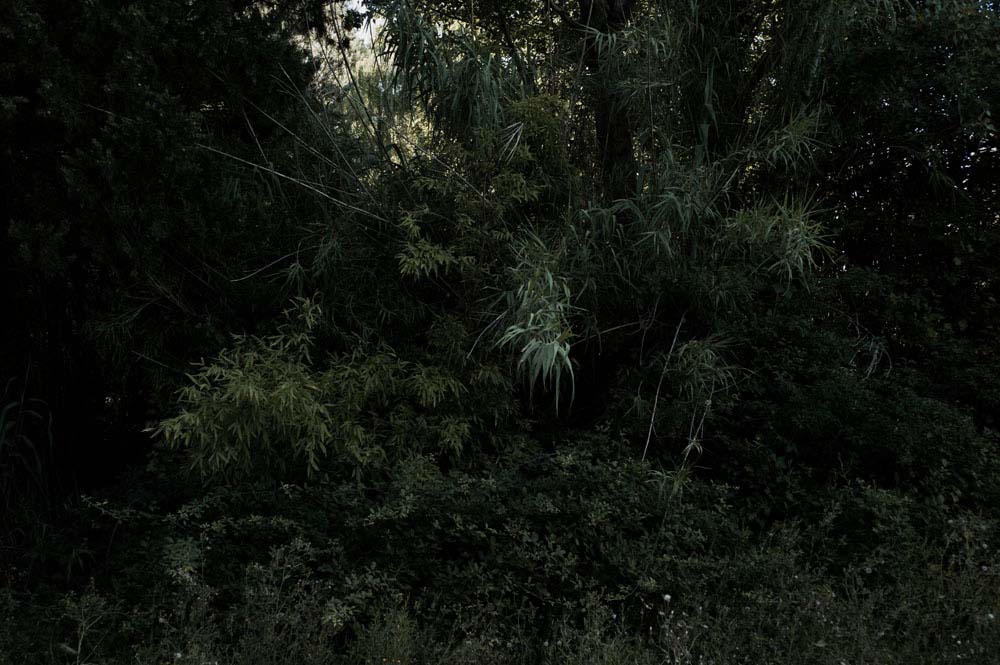 danslaplaine - 58