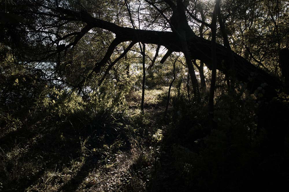 danslaplaine - 86