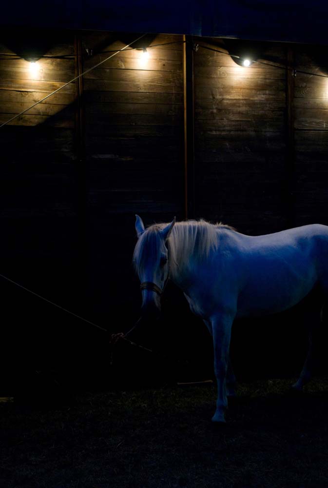 Hors Scène - 59