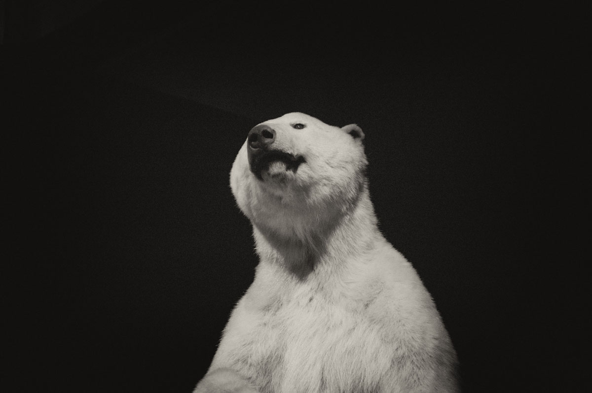BestiaireBT40
