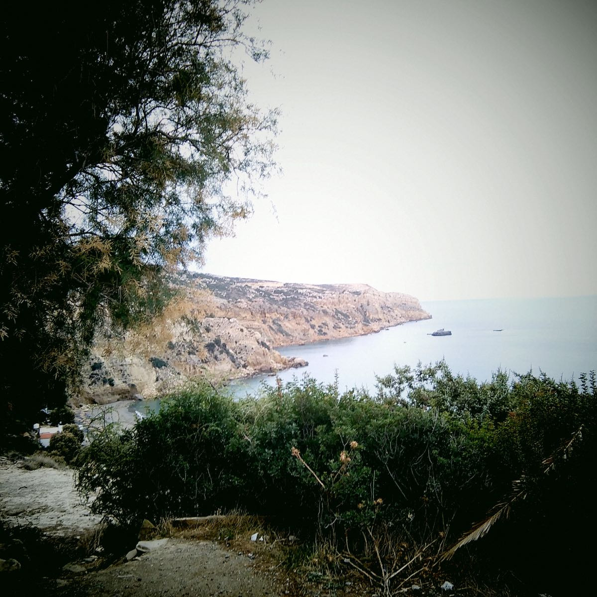 freshfromthephone - 20