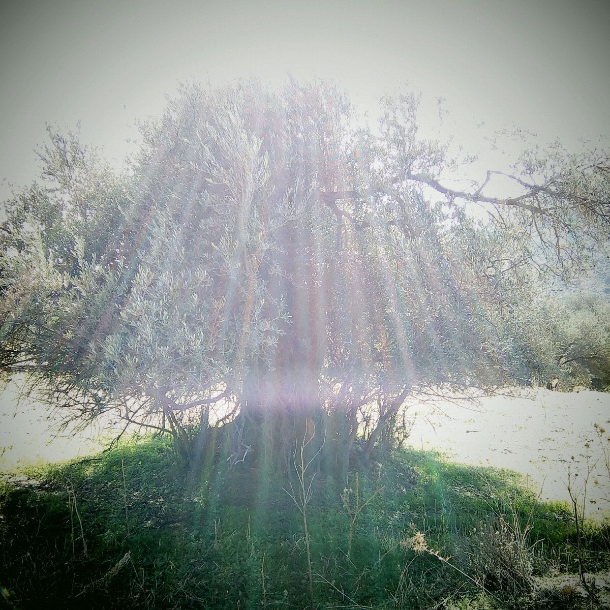 freshfromthephone - 42