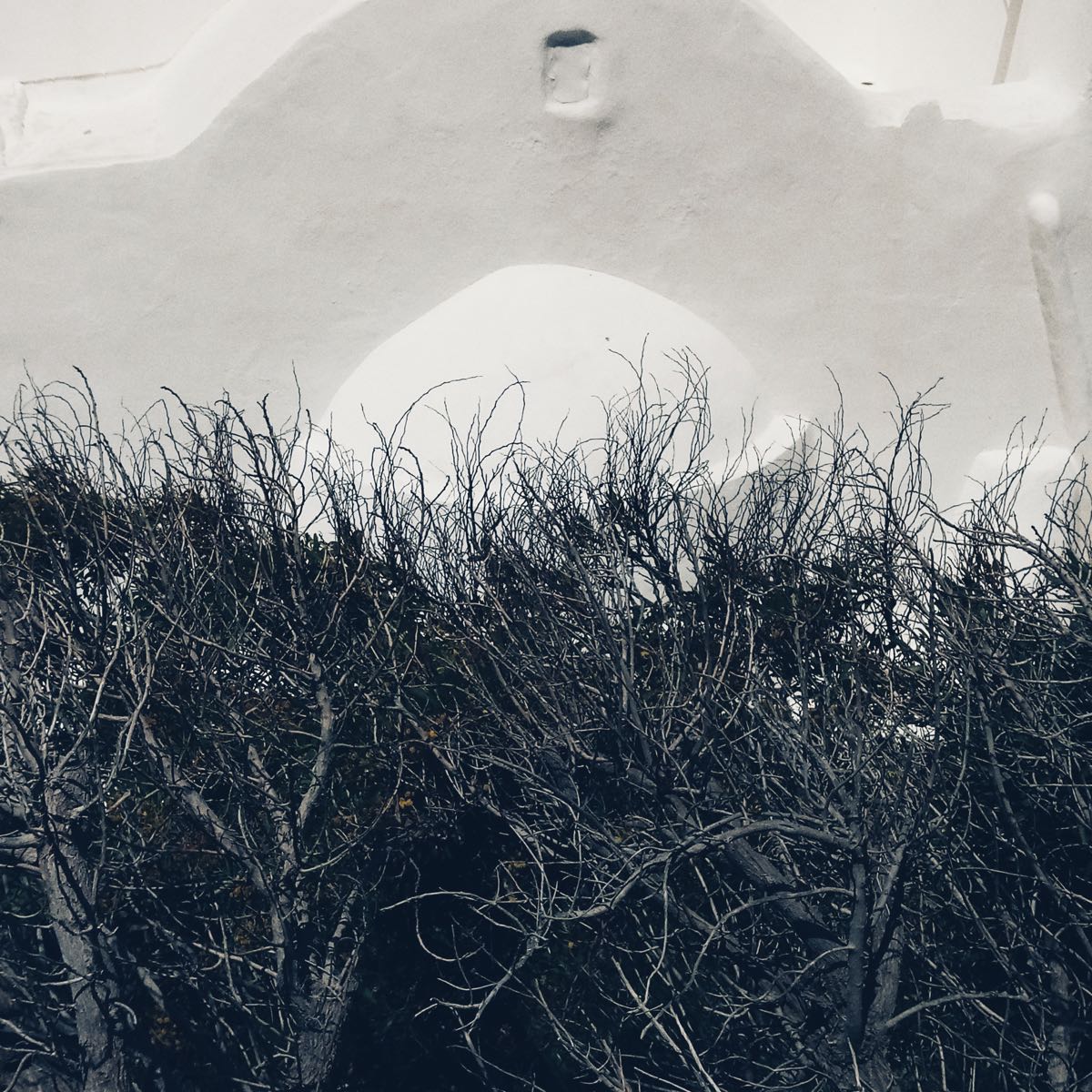 freshfromthephone - 62