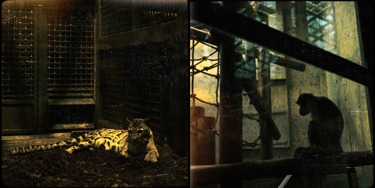 bestiaire2-03