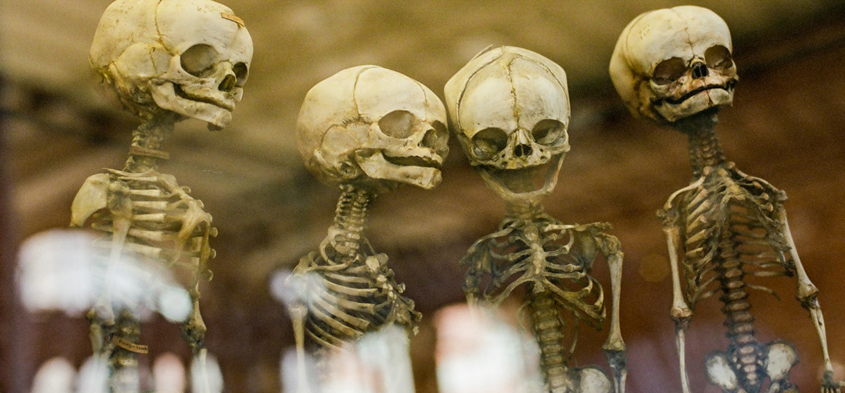bestiaire2-18