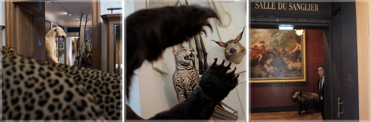 bestiaire2-19