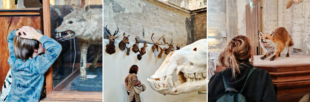 bestiaire2-23dxo