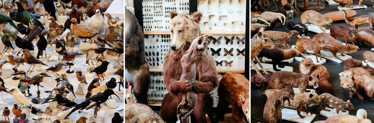bestiaire2-24dxo