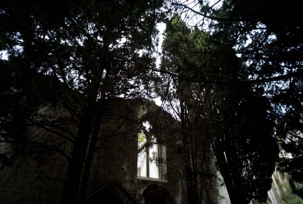 sanctus - 71