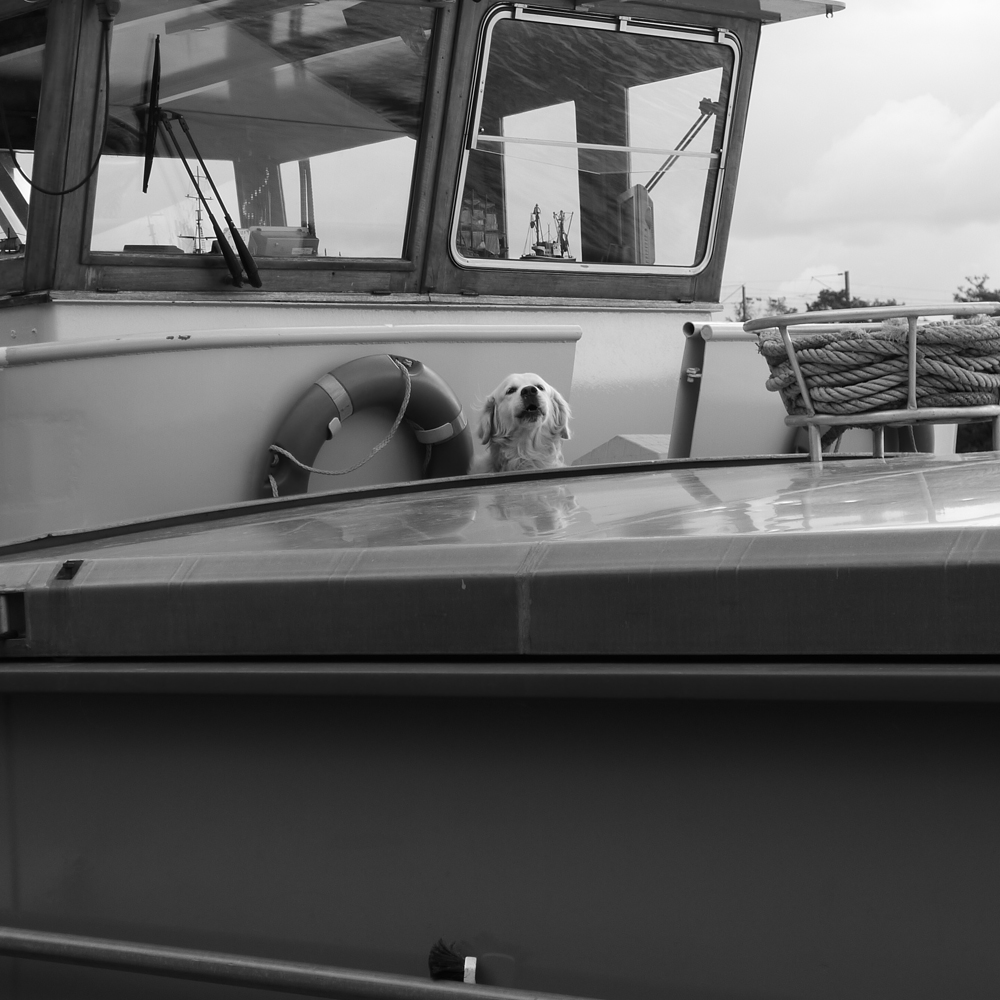 conflans03
