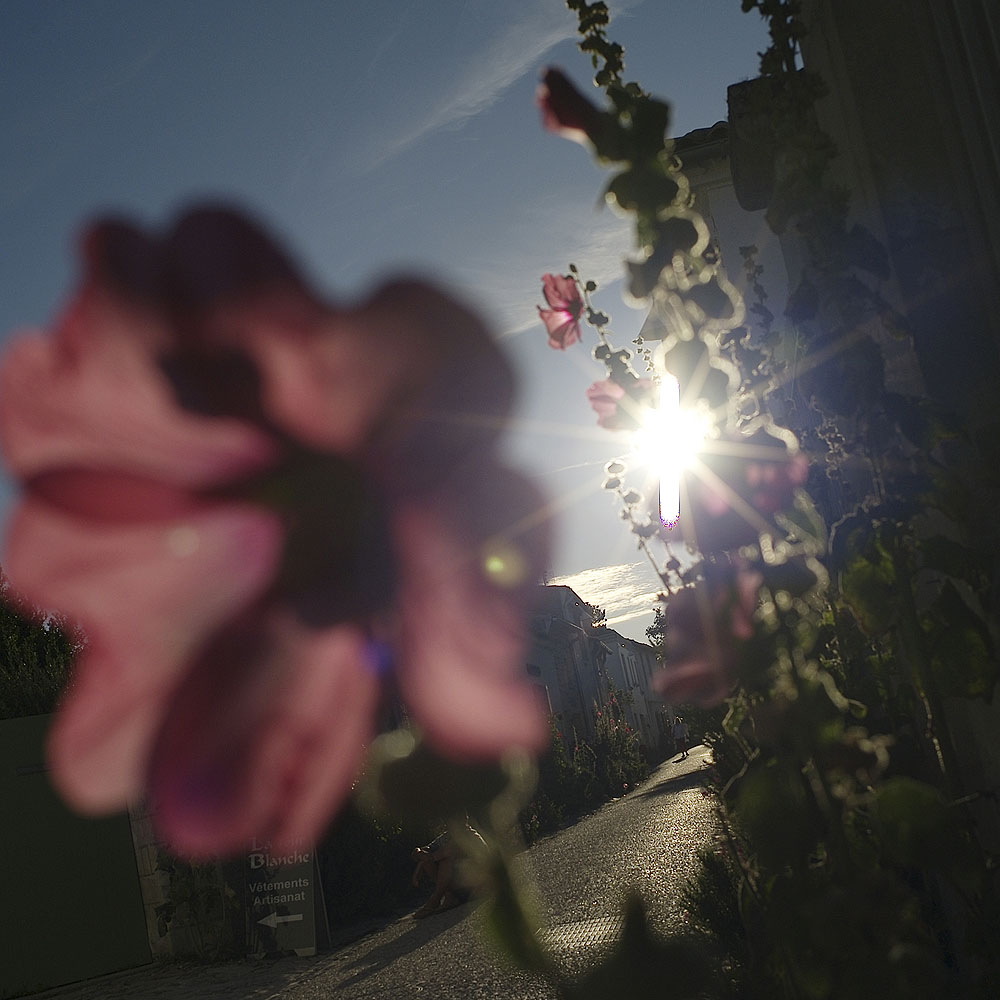Talmont04