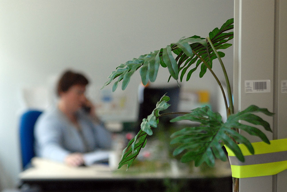bureaux - 30