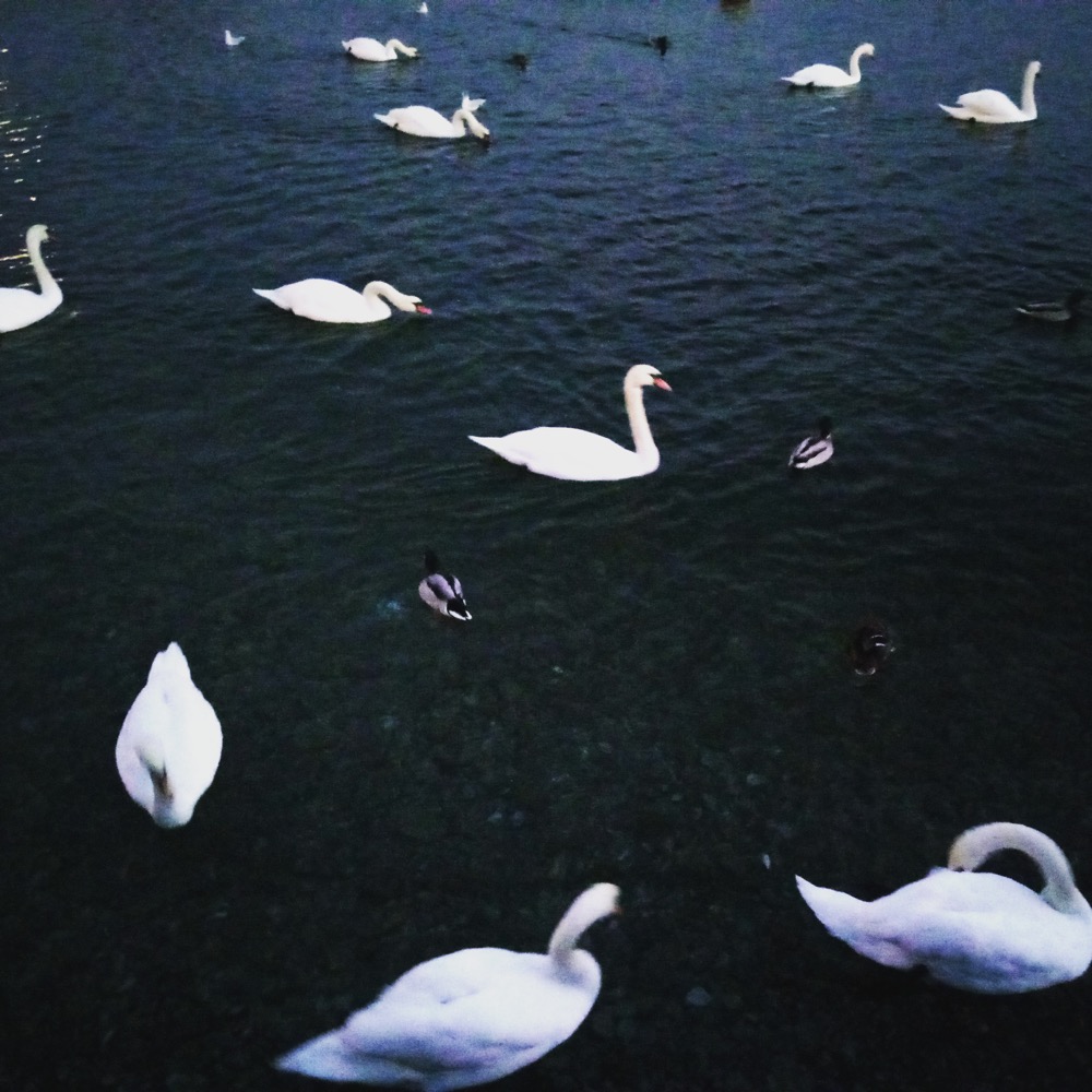 newinstagramshots - 039