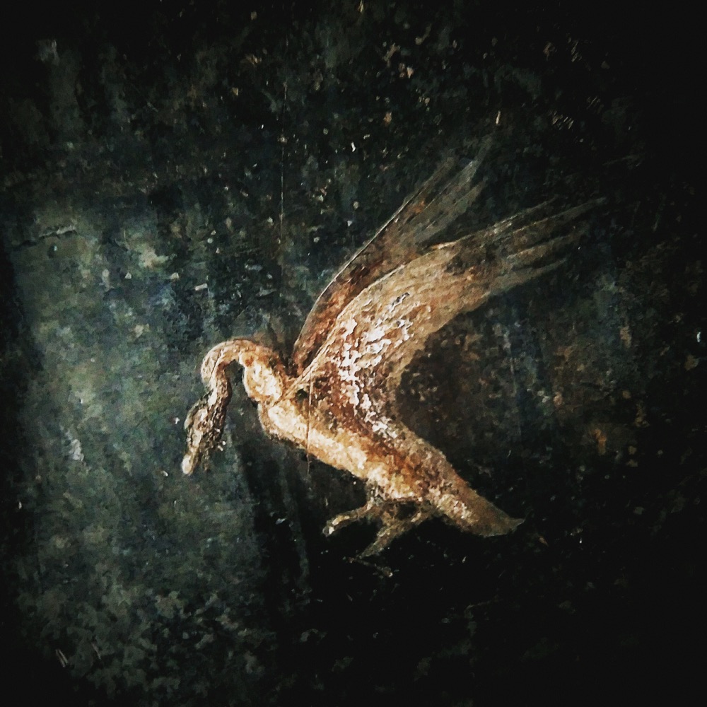 newinstagramshots - 062