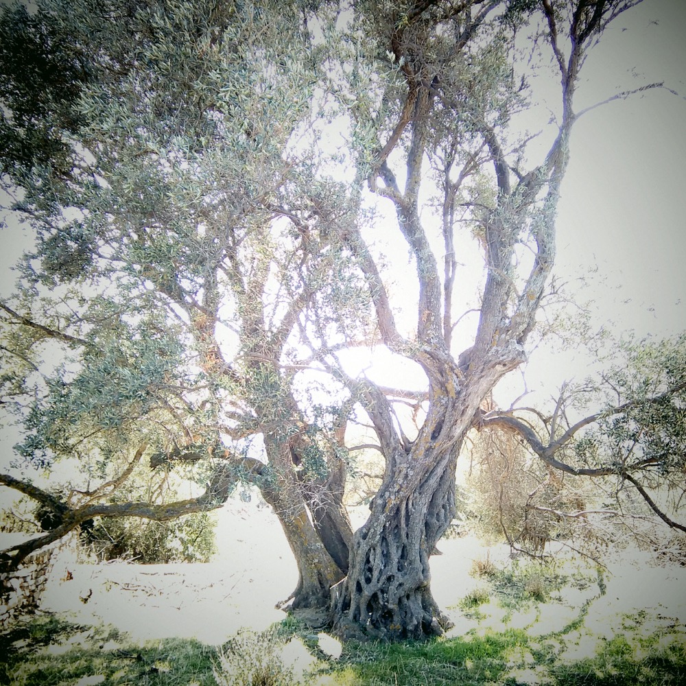 newinstagramshots - 082