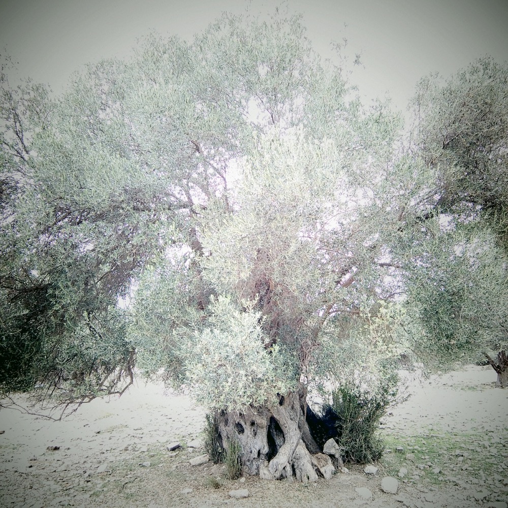 newinstagramshots - 084