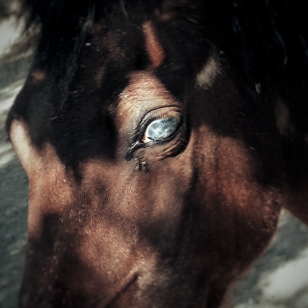 newinstagramshots - 092