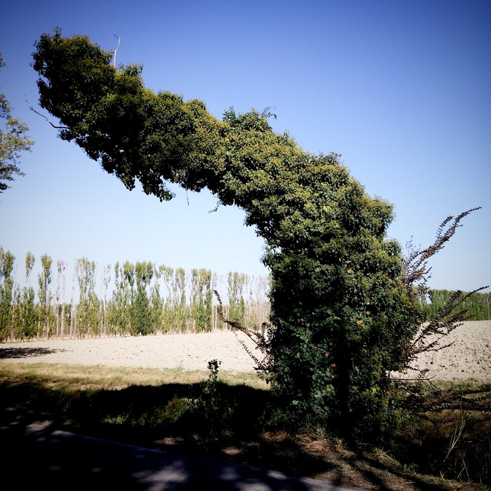 newinstagramshots - 145