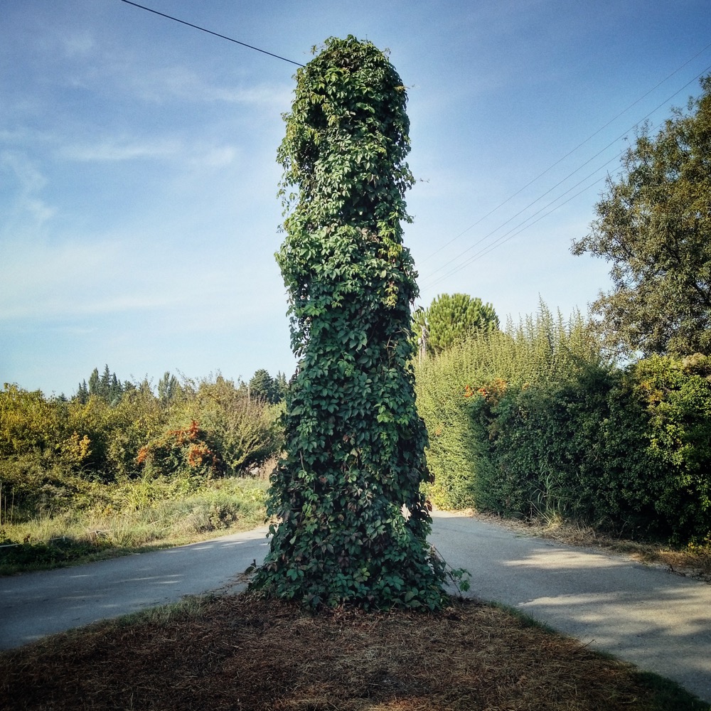 newinstagramshots - 146