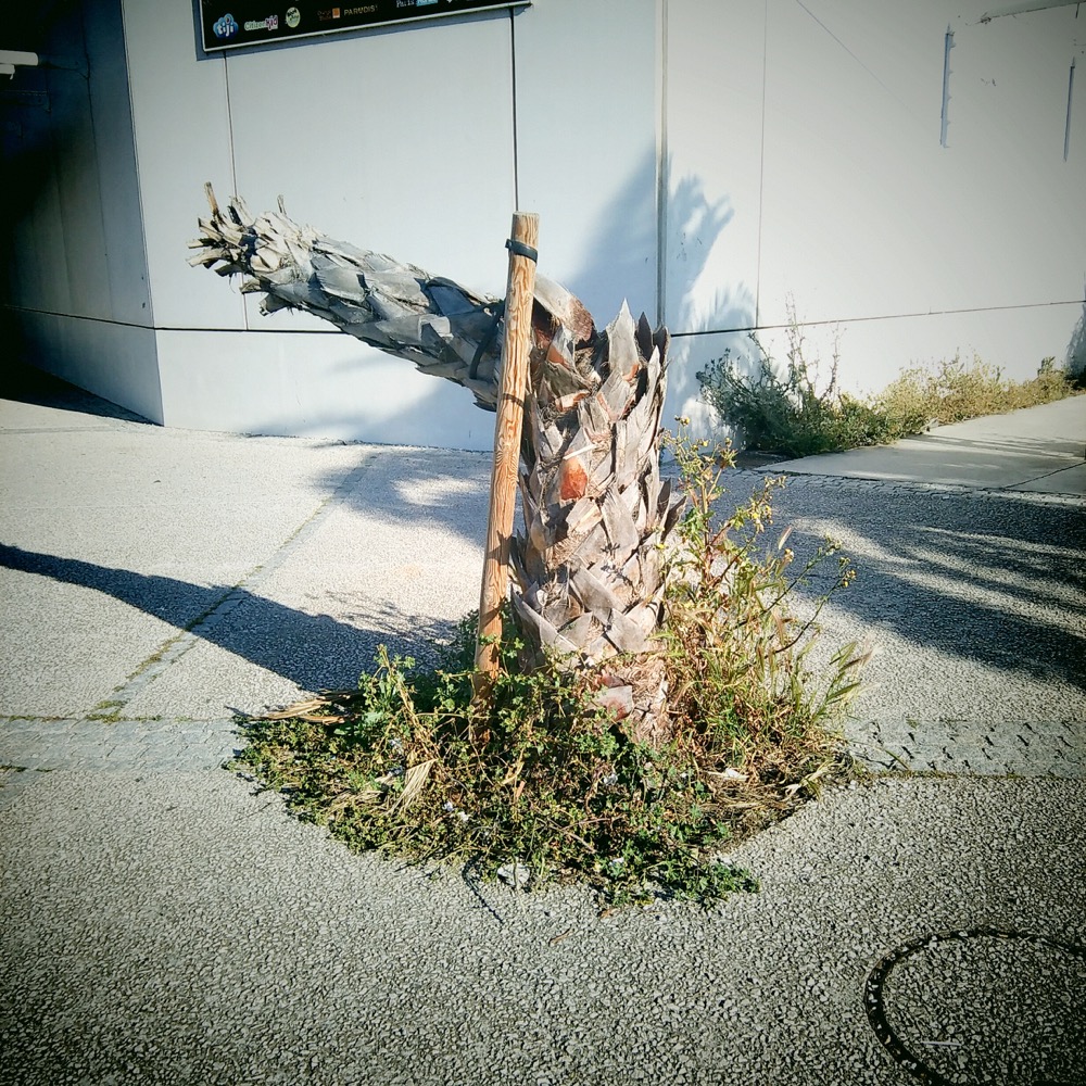 newinstagramshots - 165