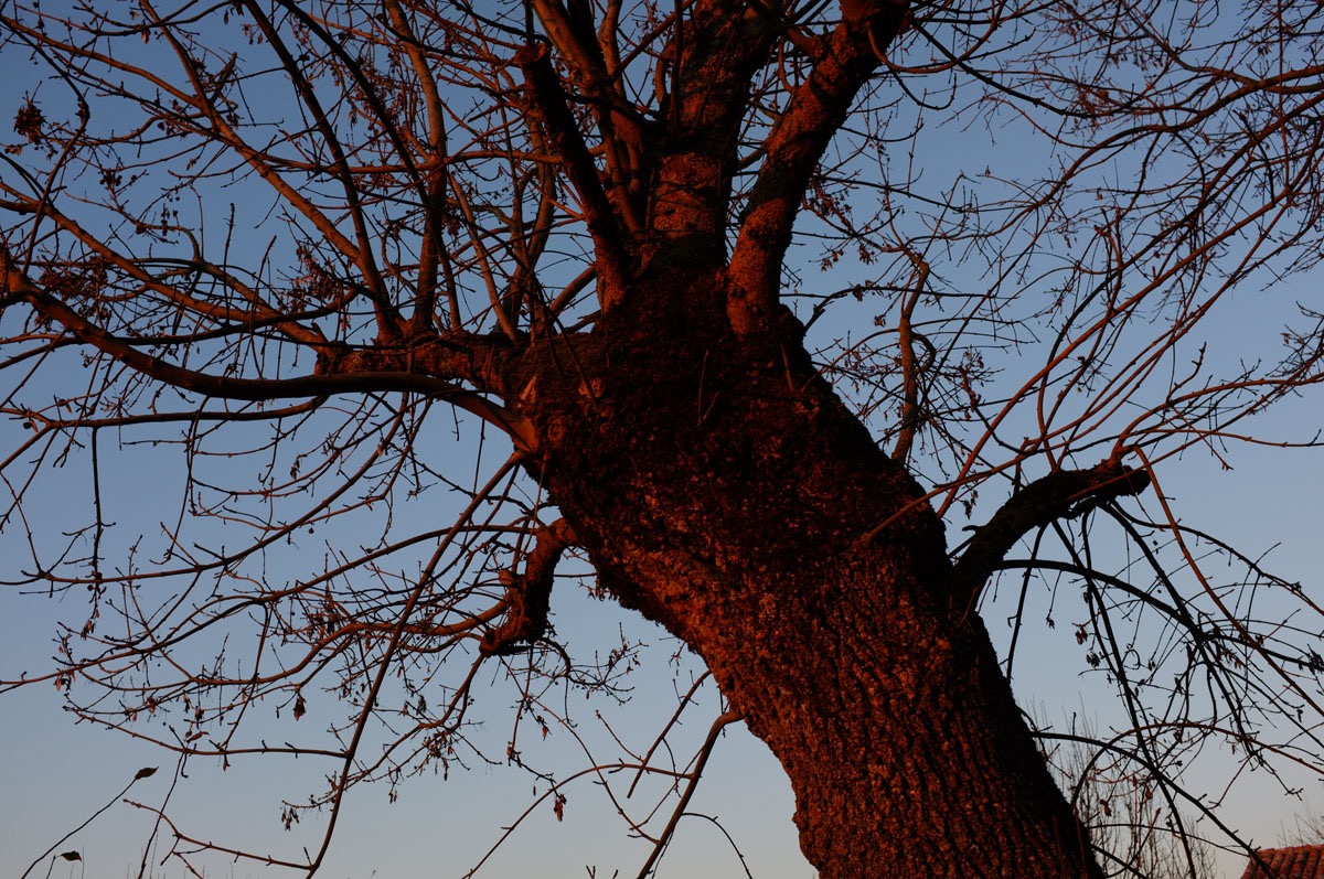 nowhere - 27